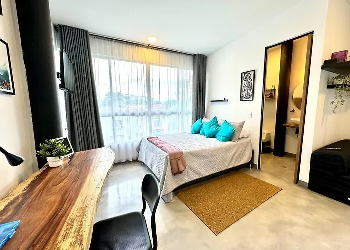 Baum Loft San Fernando 402